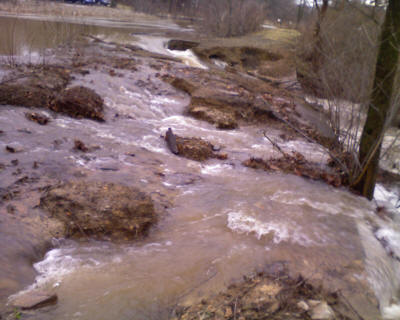 Flood Picture